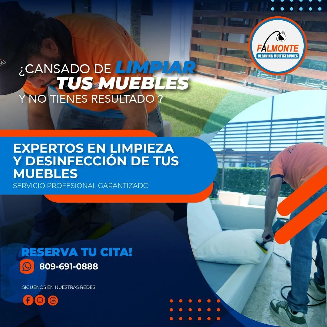 Limpieza Profunda de Mueble en Stgo. de los caballeros en RD