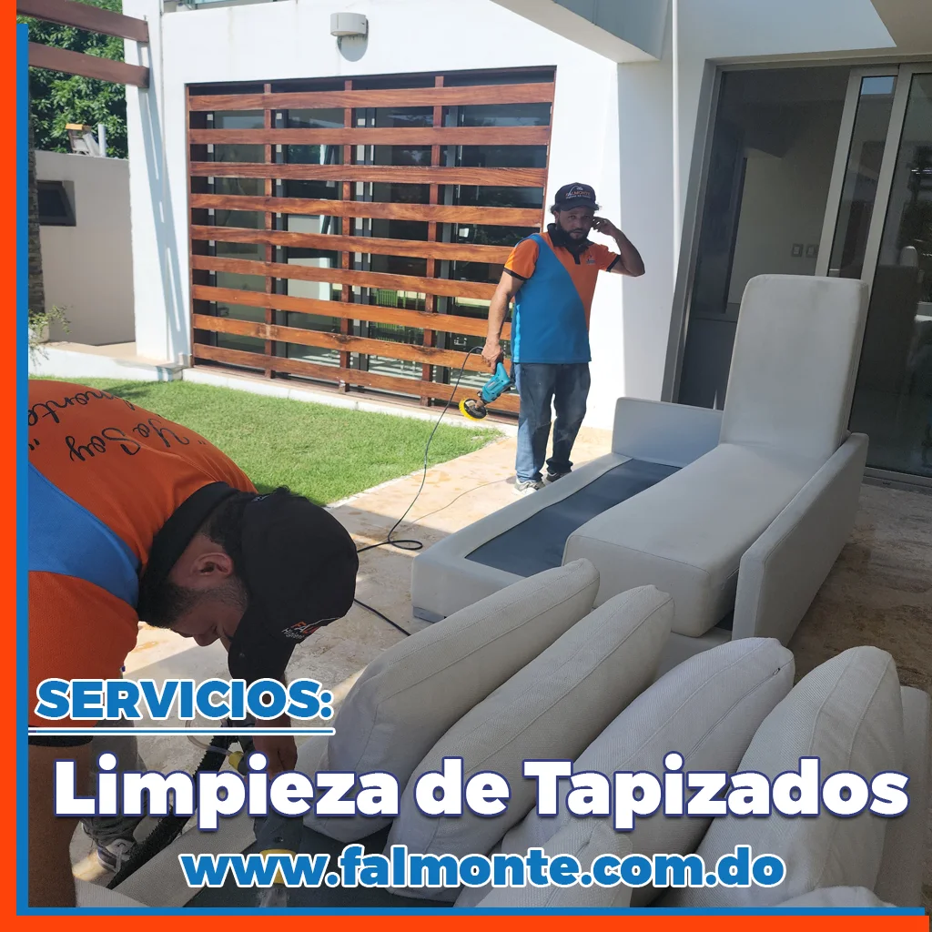 🧼✨ Limpieza Profesional de Tapizados en República Dominicana