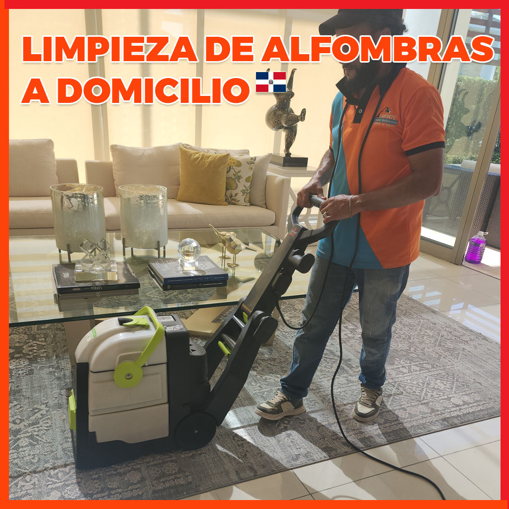 SERVICIO DE LIMPIEZA DE ALFOMBRAS A DOMICILIO