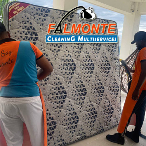 🎄✨ PROMOCIONES NAVIDEÑAS FALMONTE CLEANING MULTISERVICES SRL