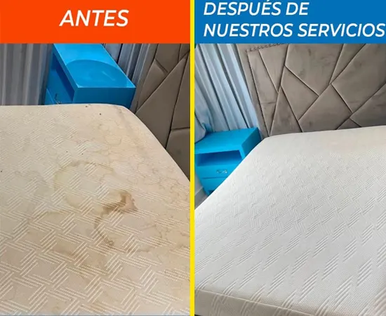 LIMPIEZA DE COLCHONES